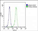 GBA Antibody in Flow Cytometry (Flow)