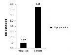 beta Catenin Antibody in ChIP Assay (ChIP)