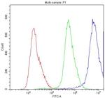 SUR1 Antibody in Flow Cytometry (Flow)