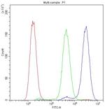 ADO Antibody in Flow Cytometry (Flow)