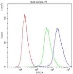 ADO Antibody in Flow Cytometry (Flow)