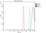 AKR1C1/AKR1C2 Antibody in Flow Cytometry (Flow)