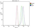 Placental Alkaline Phosphatase Antibody in Flow Cytometry (Flow)