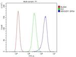 ARHGEF1 Antibody in Flow Cytometry (Flow)