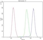 ATF1 Antibody in Flow Cytometry (Flow)