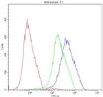 ATF2 Antibody in Flow Cytometry (Flow)