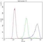 Ataxin 2 Antibody in Flow Cytometry (Flow)