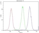 Ataxin 3 Antibody in Flow Cytometry (Flow)