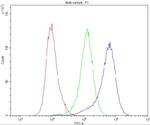 Bestrophin 1 Antibody in Flow Cytometry (Flow)