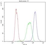 Bid Antibody in Flow Cytometry (Flow)