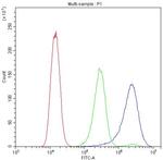 BIK Antibody in Flow Cytometry (Flow)