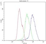 BIK Antibody in Flow Cytometry (Flow)