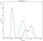 BIK Antibody in Flow Cytometry (Flow)