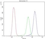 BMP5 Antibody in Flow Cytometry (Flow)