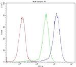 BMP5 Antibody in Flow Cytometry (Flow)