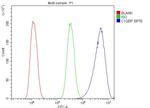 C1QBP Antibody in Flow Cytometry (Flow)