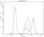 Carbonic Anhydrase II Antibody in Flow Cytometry (Flow)