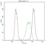 Caspase 3 Antibody in Flow Cytometry (Flow)