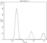 Calpastatin Antibody in Flow Cytometry (Flow)