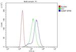 AAMP Antibody in Flow Cytometry (Flow)