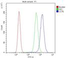 TCP1 epsilon Antibody in Flow Cytometry (Flow)