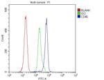 CD46 Antibody in Flow Cytometry (Flow)