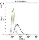 CD58 Antibody in Flow Cytometry (Flow)