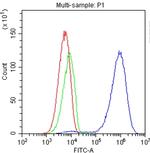 CD81 Antibody in Flow Cytometry (Flow)