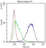 CD81 Antibody in Flow Cytometry (Flow)