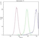 CHRNA3 Antibody in Flow Cytometry (Flow)