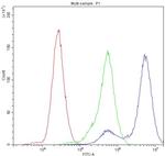 CHRNA3 Antibody in Flow Cytometry (Flow)