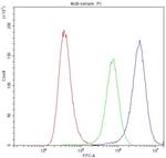 CHRNA5 Antibody in Flow Cytometry (Flow)