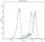 CLPX Antibody in Flow Cytometry (Flow)