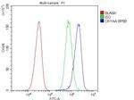 Alpha A Crystallin Antibody in Flow Cytometry (Flow)