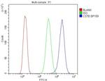 Cystatin B Antibody in Flow Cytometry (Flow)