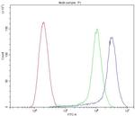 Cathepsin D Antibody in Flow Cytometry (Flow)