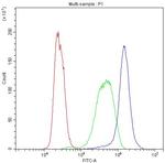 CYP1A1 Antibody in Flow Cytometry (Flow)