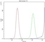 DBI Antibody in Flow Cytometry (Flow)