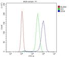 DDX4 Antibody in Flow Cytometry (Flow)