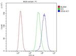 DDX4 Antibody in Flow Cytometry (Flow)