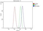 DLD Antibody in Flow Cytometry (Flow)