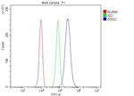 Desmoglein 2 (DSG2) Antibody in Flow Cytometry (Flow)