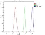 Emerin Antibody in Flow Cytometry (Flow)