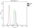 Prothrombin Antibody in Flow Cytometry (Flow)