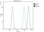 Fumarase Antibody in Flow Cytometry (Flow)