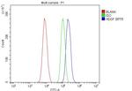 HDGF Antibody in Flow Cytometry (Flow)