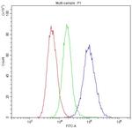 HLA-C Antibody in Flow Cytometry (Flow)