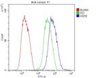 HSPE1 Antibody in Flow Cytometry (Flow)