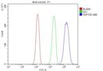 HSP105 Antibody in Flow Cytometry (Flow)