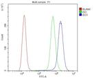 IDO Antibody in Flow Cytometry (Flow)